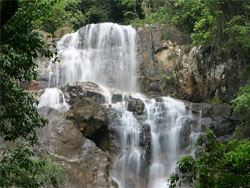 penang botanical garden waterfall