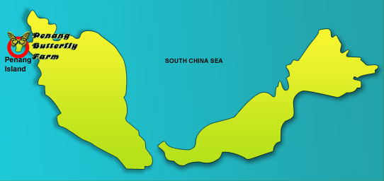 Malaysia Map