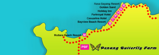 Penang Island Map